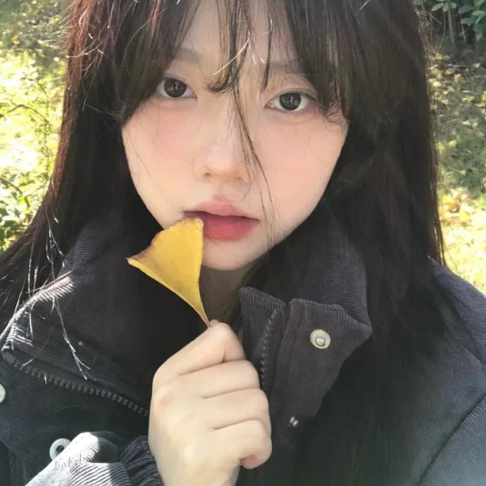 蓝徽特攻队