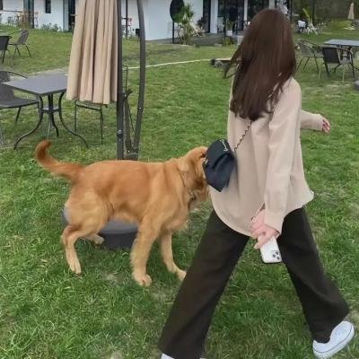 嫁给杂种